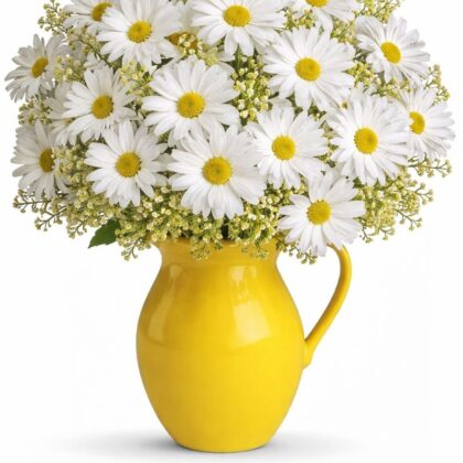Sunny Day Pitcher of Daisies