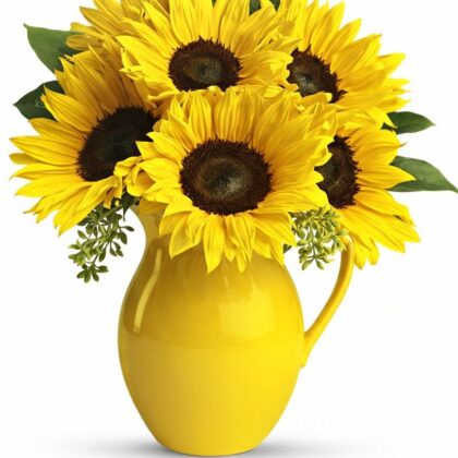 Sunny Day Pitcher of Sunflowers