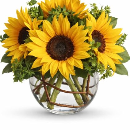 Sunny Sunflowers