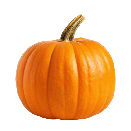 Halloween & Fall